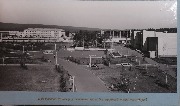 IMG_0003.jpg