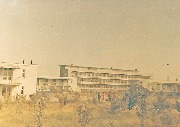 IMG_0005.jpg